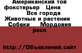 Американский той фокстерьер › Цена ­ 25 000 - Все города Животные и растения » Собаки   . Мордовия респ.